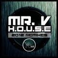 Mr. V - H.O.U.S.E (Am Roots Afrodub Remix)