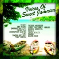 Mr. Vegas、Barrington Levy、u roy、Beenie Man - The Voices Of Sweet Jamaica (All Star Remix)