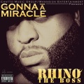 Rhino - Gonna Take a Miricle