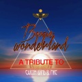 Ameritz Tribute Club - Boogie Wonderland