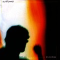 sunflower - Spider