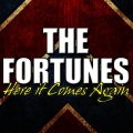 The Fortunes - Here It Comes Again