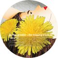Gringo Grinder、Ada - Sweet kiss