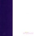 Chris Martin、Ampbuzz - Diving Instructions