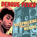 dengue fever - Ethanopium (Live at Snowy's)