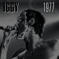 Iggy Pop - I Wanna be your dog