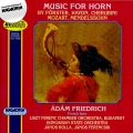 Horn Concerto in E-Flat Major: I. Con discretione