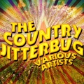 The King Brothers、Etowah Valley Boys - A True Loving Woman