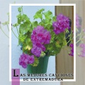 G.C.D.Tierra De Barros - El Candil