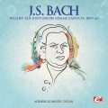 Klemens Schnorr - Wachet auf, ruft uns die Stimme Cantata, BWV 140