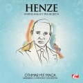Nürnberg Symphony Orchestra、Nurnberg Symphony Orchestra - Ondine, Ballet: Pas de deux