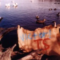 TS - We
