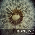 Rope、MATT MENOVCIK、Kramer - Leave Me