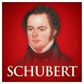 English Chamber Orchestra - Rosamunde, D. 797: Romance