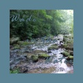 Wade in the Water