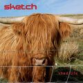 SKETCH - March Strathspey And Really