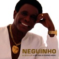 Neguinho da Beija Flor - Malandro É Malandro e Mané É Mané