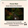 Gordon Hempton - Forest Rain