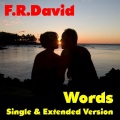 F.R. David - Words