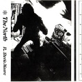 R. Stevie Moore - The Picture