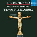 Bruno Turner、Tomás Luis de Victoria - Amicus meus