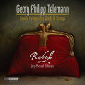 Rebel、Jörg-Michael Schwarz - Concerto in G Major for 2 Violins and Strings, TWV 52:G1: IV. Vivace