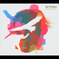 Ian Pooley - Intro