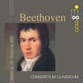consortium classicum - Septet for Violin, Viola, Clarinet, Horn, Bassoon, Violoncello, Double Bass in E-Flat Major, Op. 20: II. Adagio cantabile