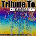 Idoles De La Musique - C'est ma terre