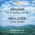 brandis quartett、Brett Dean - String Quintet in G major, Op. 111: I. Allegro non troppo, ma con brio