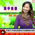 风语 - 风中丝语