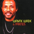 wayne wade - Some Teaching