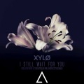 XYLØ - I Still Wait For You (Nolan van Lith x Felix Palmqvist Remix)