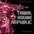 Tribal Maniacs - In the Groove