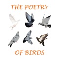 James Taylor - Thomas Hardy - Shelly's Skylark