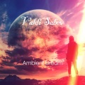 Valdi Sabev - We Believe