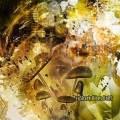Synesthesia - Dreams Making Machines
