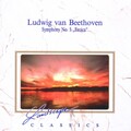 Royal Danish Orchestra、Georg Richter - I. Allegro con Brio