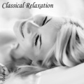 Director、Pro Arte Camber Orchestra - 