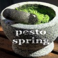 Paduraru、Nika Brooke - Pesto Spring (Blood Groove & Kikis featuring Nika Brooke Vocal Deephouse Mix)