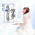 程琳 - 我一直在这里等你