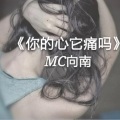MC向南 - 你的心它痛吗