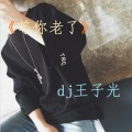 DJ王子光 - 梦回当年古战场