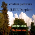 Cristian Paduraru - Fruitful Fatherhood (Deeptech Ambient Mix)
