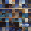 Tindersticks - Slippin' Shoes