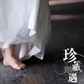 珍藏系列