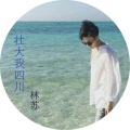 林苏 - 高压弹炸