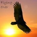 M-Lito、Nestora - Flying Over (Original)