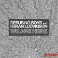 Desusino Boys、Håkan Ludvigson - We Are Here (Original Mix)