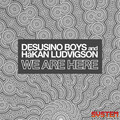 Desusino Boys、Håkan Ludvigson - We Are Here
